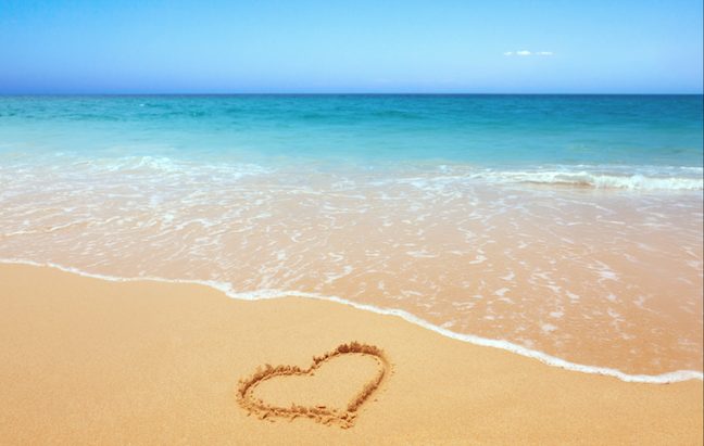 Screenshot 2026-01-29 at 1.13.37 PM